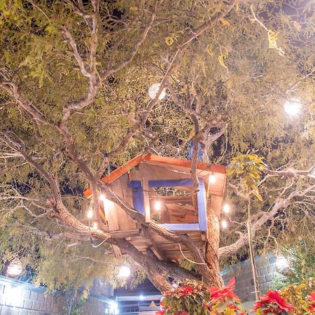 Hotel Casa Del Arbol ベルナル エクステリア 写真