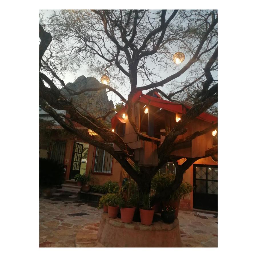 Hotel Casa Del Arbol ベルナル エクステリア 写真