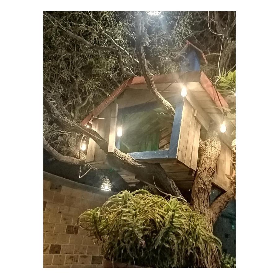 Hotel Casa Del Arbol ベルナル エクステリア 写真