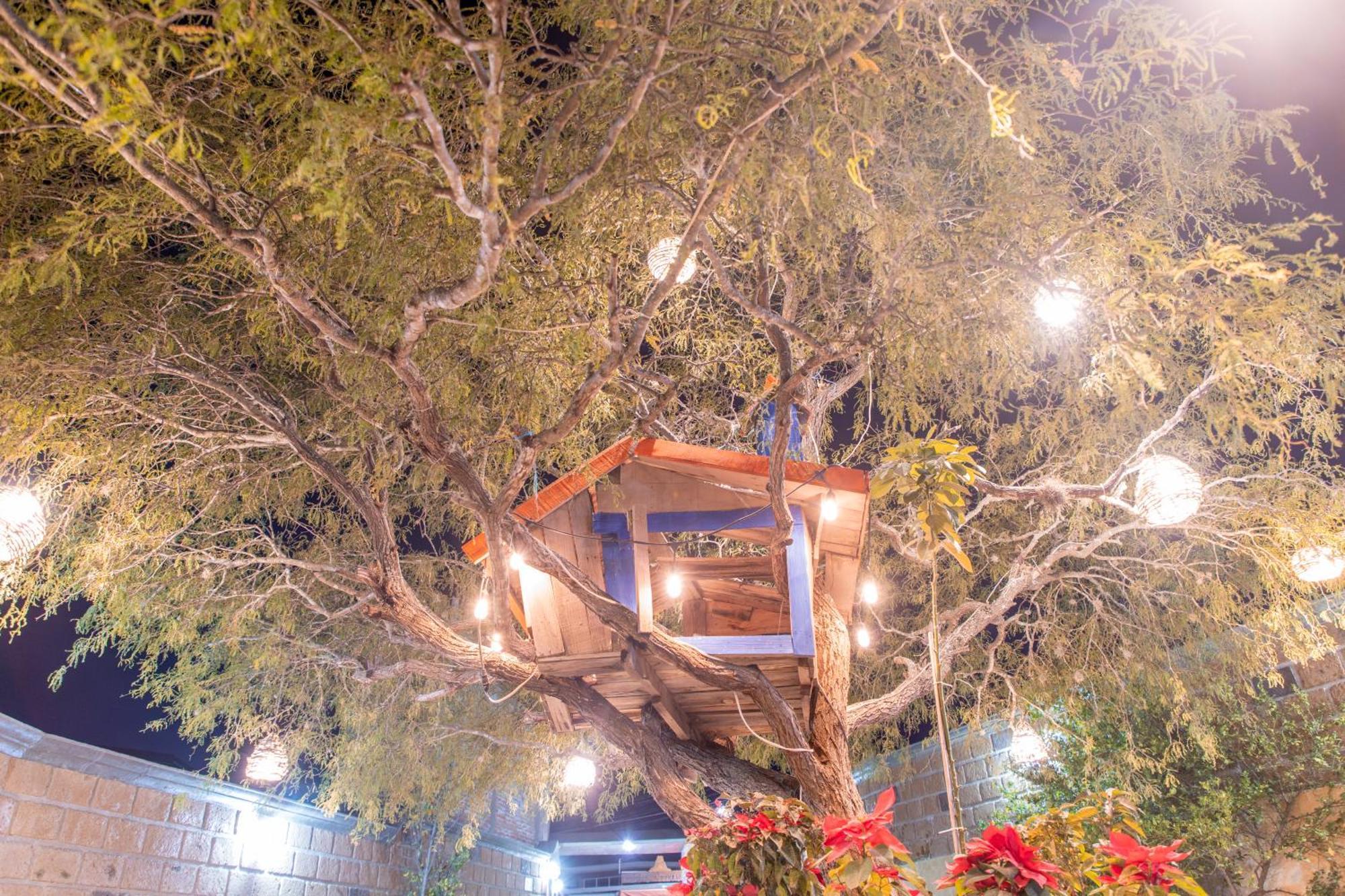 Hotel Casa Del Arbol ベルナル エクステリア 写真