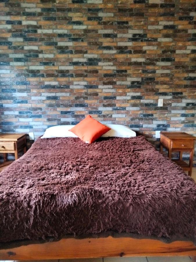 Hotel Casa Del Arbol ベルナル エクステリア 写真